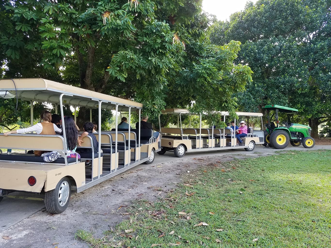 Passeio com guia pelo parque