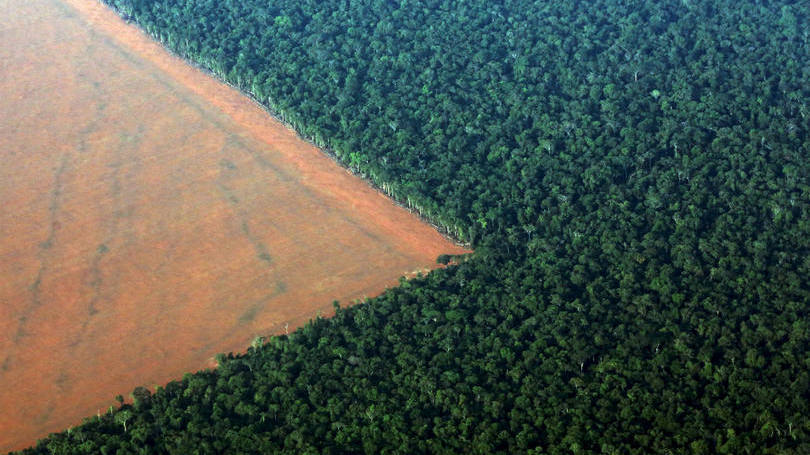 Devastação na Amazônia