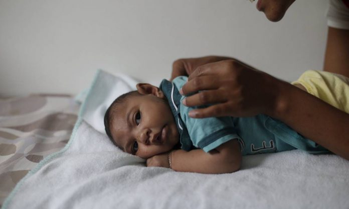 O zika vírus causa microcefalia em bebês