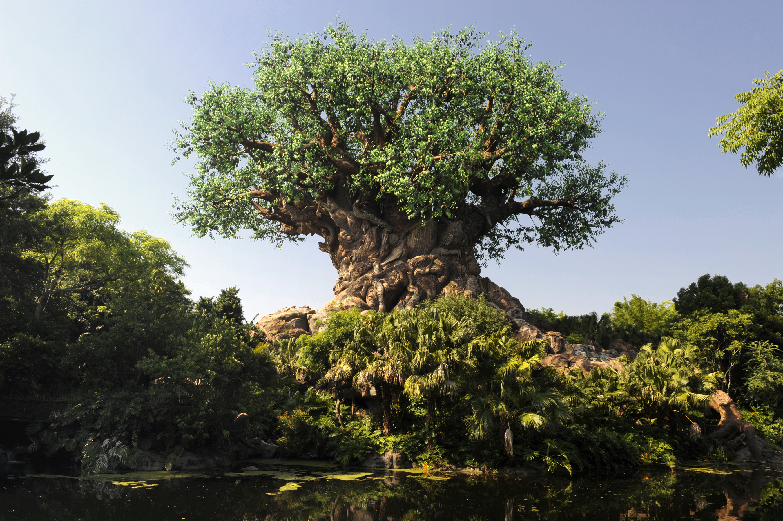 O grande ícone do Animal Kingdom, a Tree of Life (Árvore da Vida)