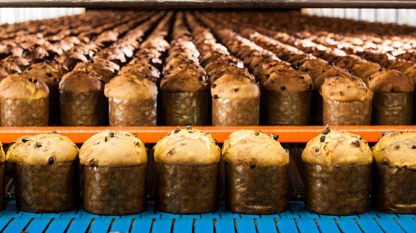 Fornada de panetones na fábrica brasileira da Bauducco, empresa que exporta para os EUA há mais de 3 décadas