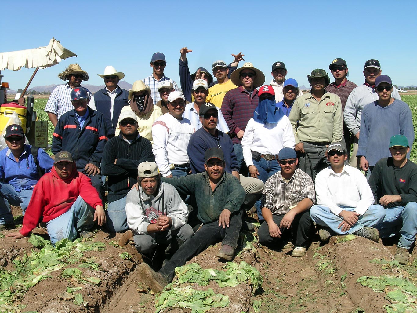 Coletores de alface em Yuma, Arizona