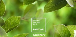 Greenery é a cor do ano 2017