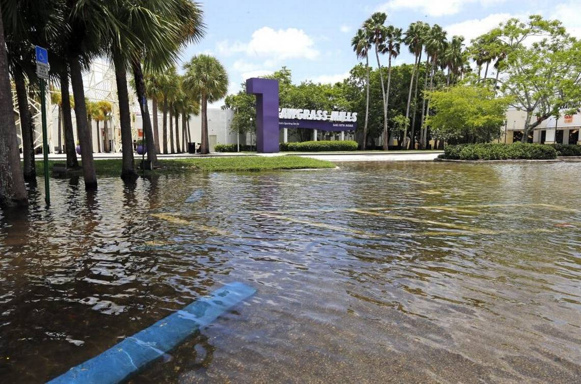 Estacionamento do Sawgrass ficou coberto pela água FOTO: Miami Herald