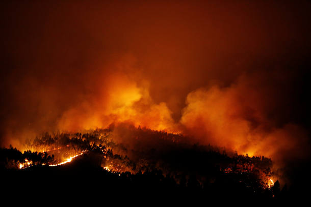 Incêndio em área florestal de Portugal deixa dezenas de mortos