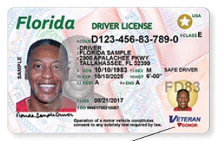 Driver License Da Flórida Ganha Novo Design A Partir De Agosto Acheiusa