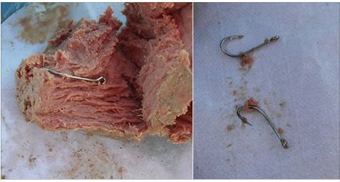 Anzois foram encontrados dentro de bolas de carne no dog park
