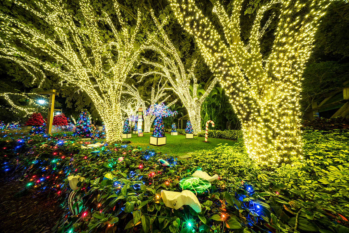 Busch Gardens Tampa Bay Christmas Town North Pole Lights