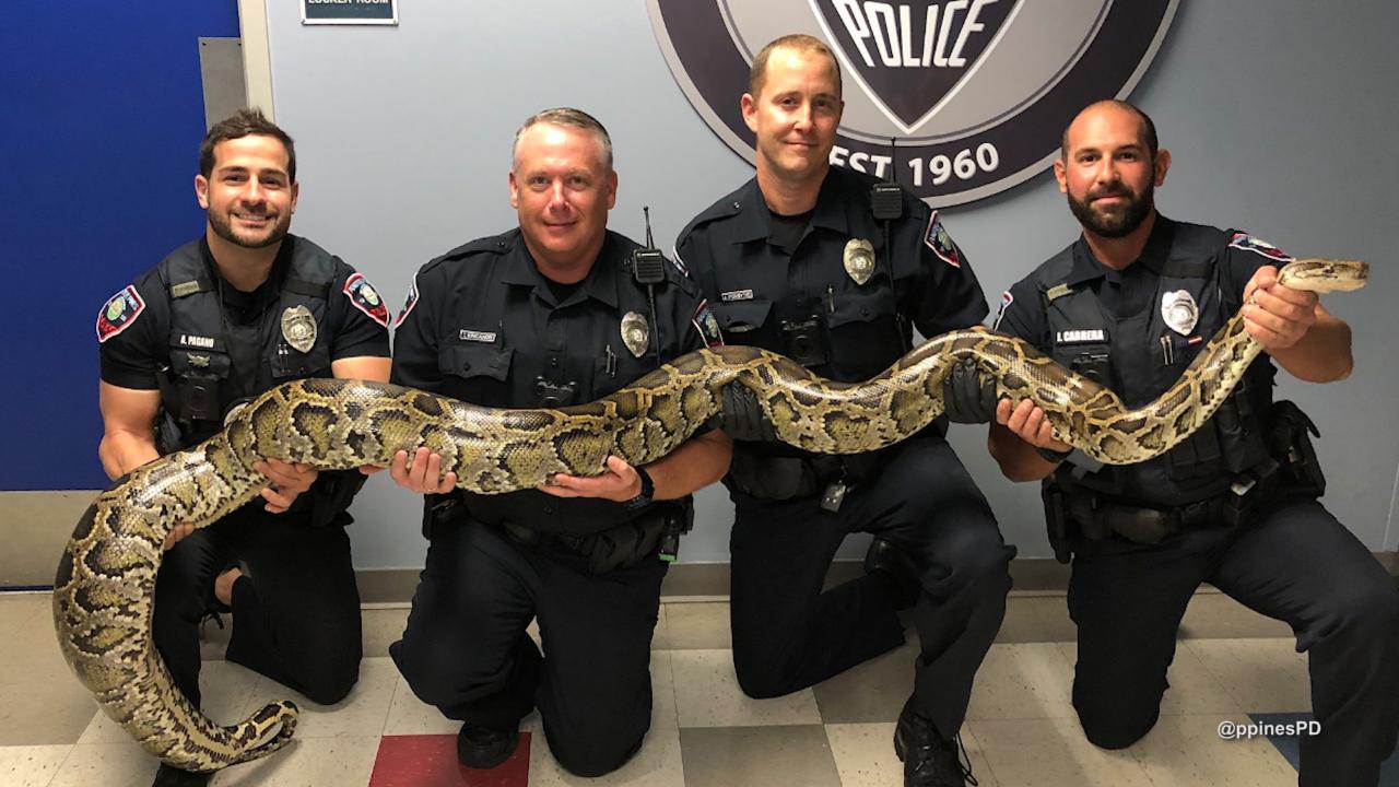 FOTO Divulgação Polícia de Pembroke Pines