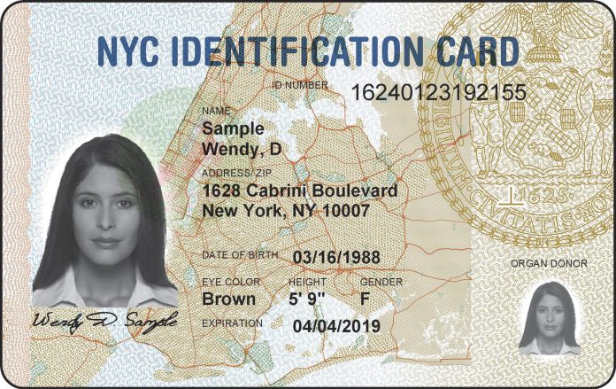 NY já adotou a carteira de identidade para imigrantes (New York City Hall via AP)