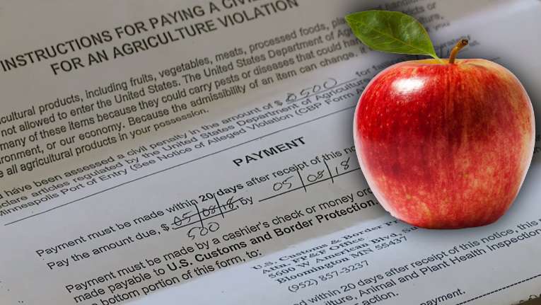 Passageira levou multa de $500 por maçã