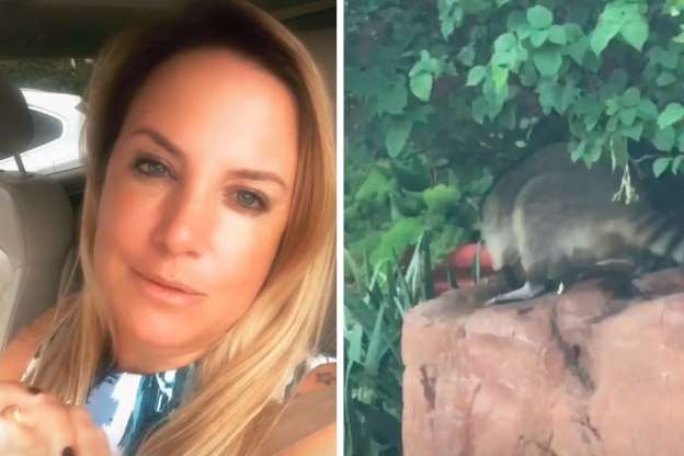 Arquiteta se deu mal ao se aproximar de um racoon em Miami