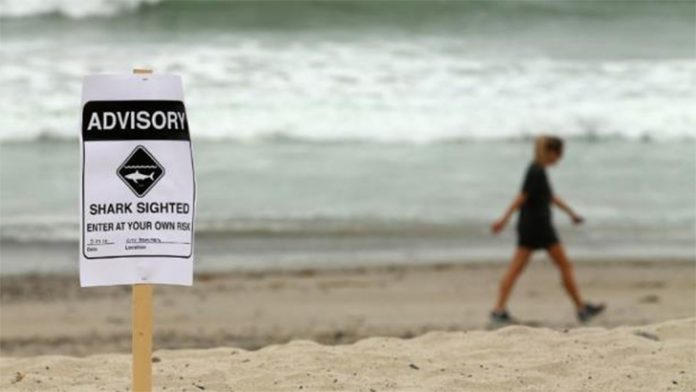 Placa avisa da presença de tubarões na praia