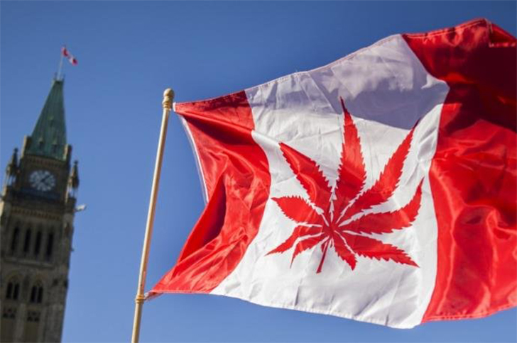 Maconha foi liberada para uso recreativo no Canadá
