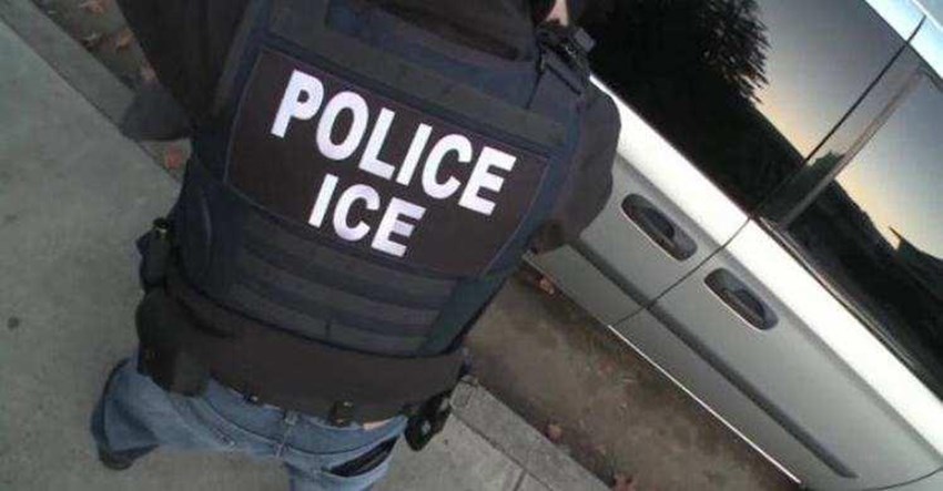 Homem tenta subornar ICE para levar sua ex-mulher presa
