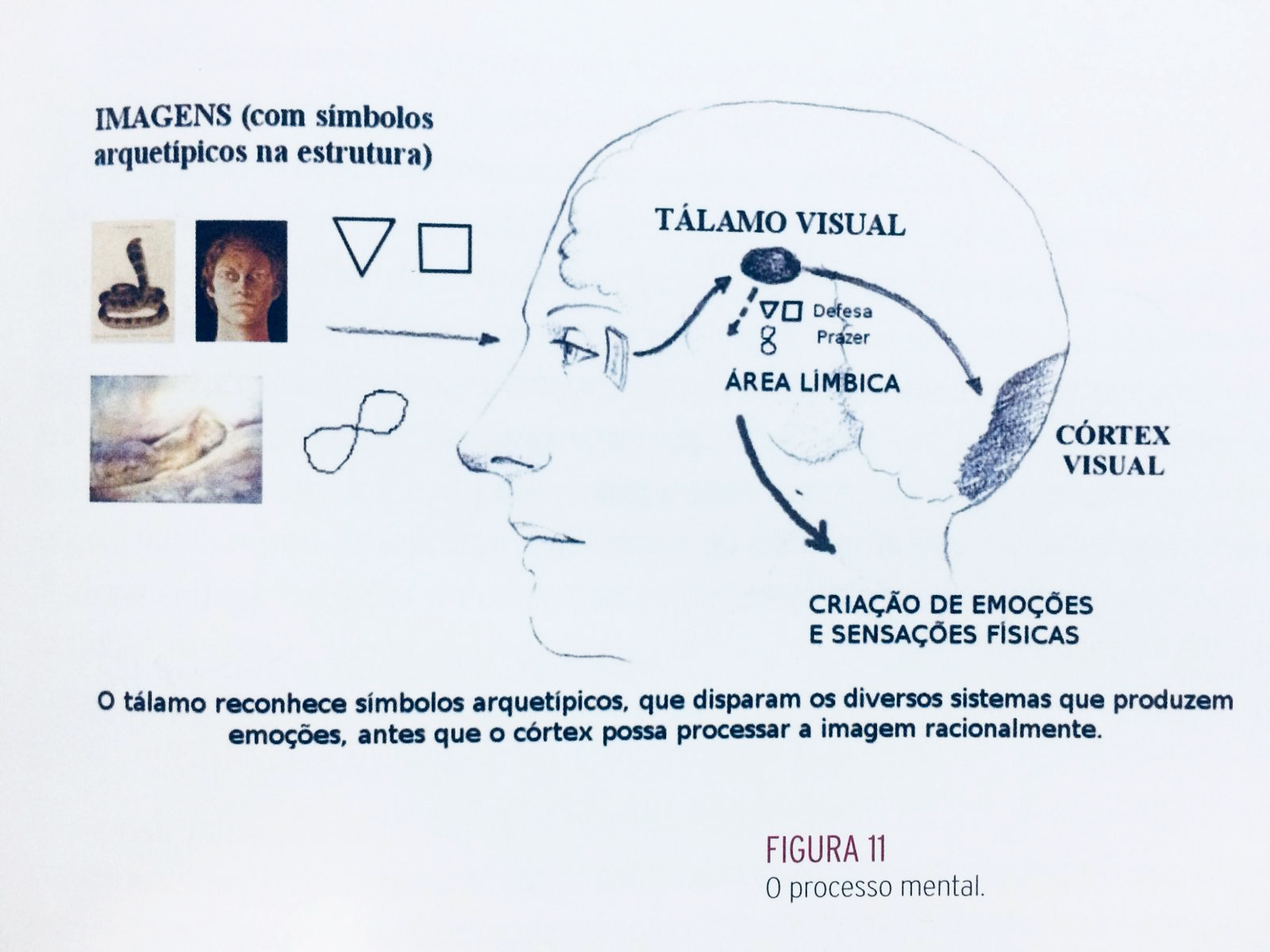 Processo Mental da Imagem (Visagismo Philip Hallawell)