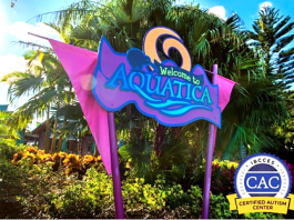 Aquatica Orlando recebe certificação para receber crianças com autismo