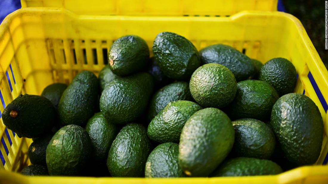 Empresa faz recall de abacates na Flórida e em outros cinco estados
