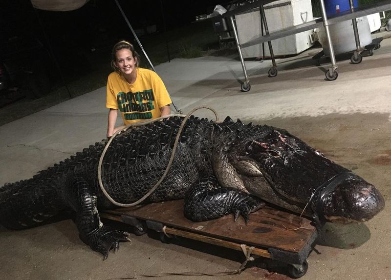 Animal estava desorientado em rodovia de Tallahassee (Foto Broderick Vaughan)