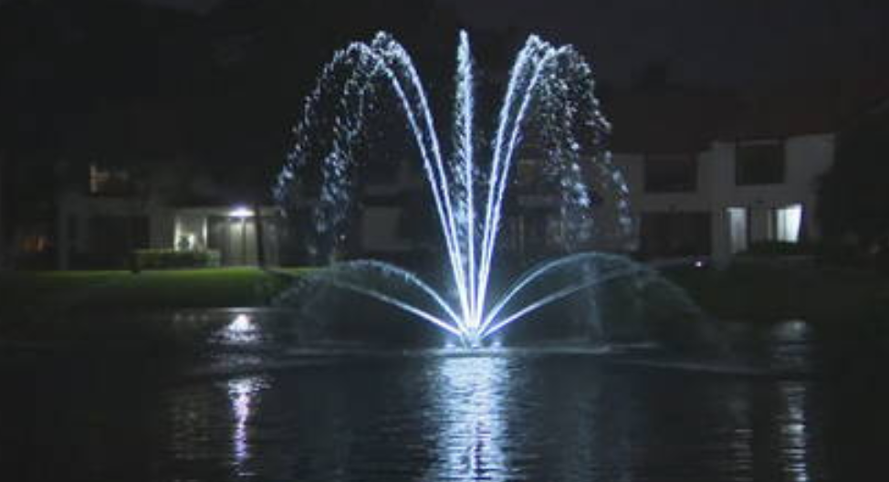 Criança se afogou em lago em Coconut Creek (FL) (Foto Reprodução Local10News)