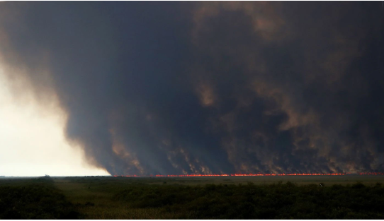 Fogo se espalha no Everglades (Foto South Florida Sunsentinel)