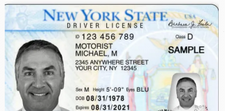 Modelo da carteira de motorista em NY (Foto Reprodução)