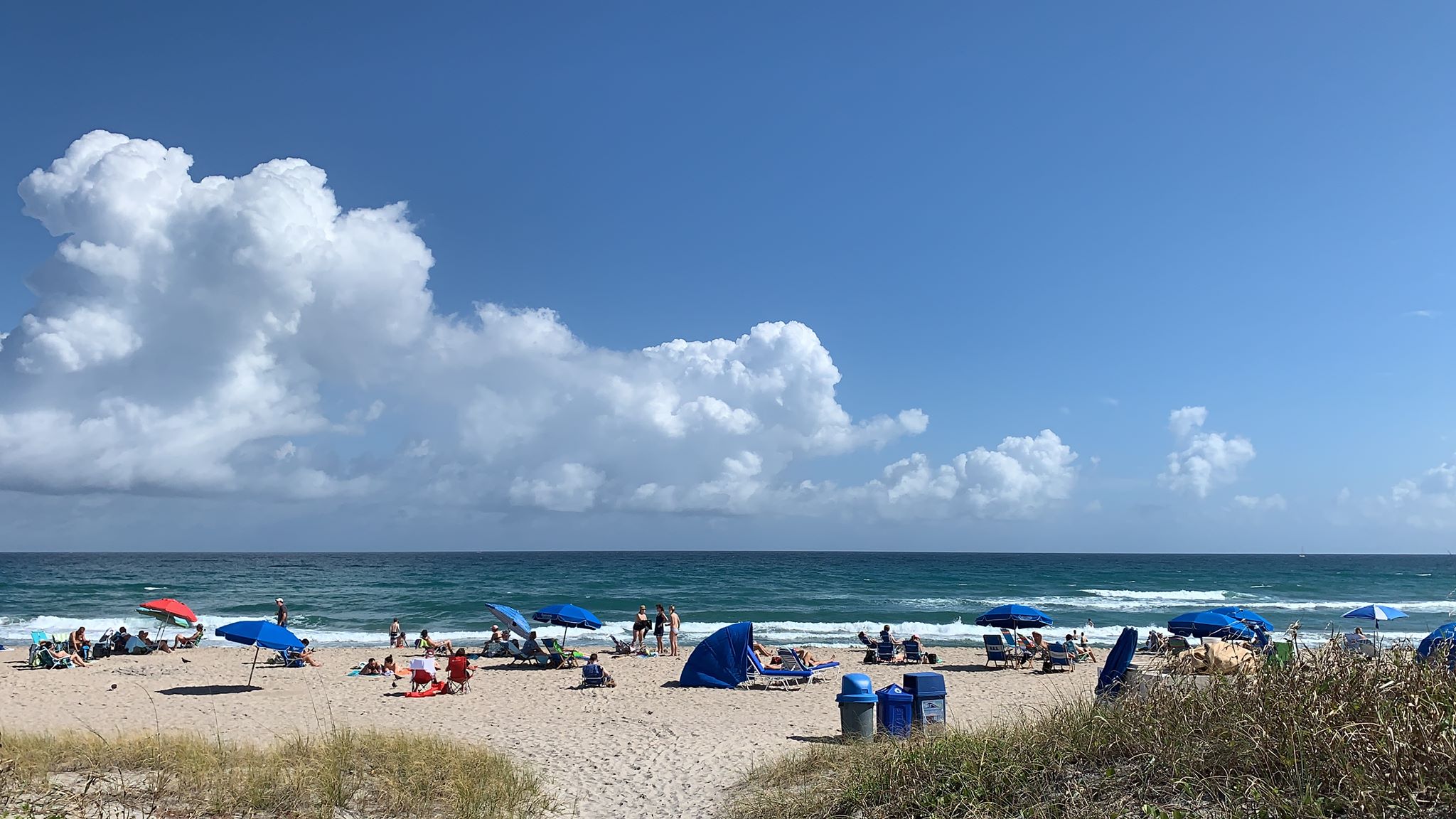 Bactéria também pode estar presente na areia (Foto AcheiUSA)