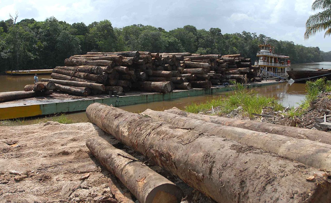 Nos últimos meses, os índices de devastação da Amazônia se multiplicaram em relação ao mesmo período do ano anterior (Foto: Wilson Dias/Agência Brasil)