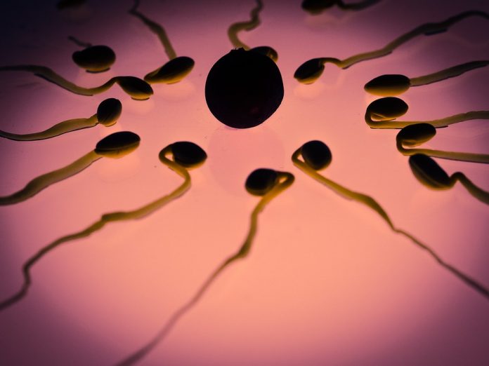A indiana engravidou por meio de fertilização in vitro (Foto: Maxpixel)