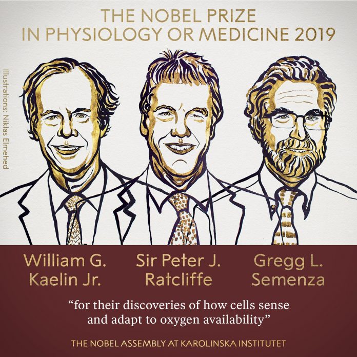 O Prêmio Nobel de Medicina de 2019 foi concedido aos cientistas William G. Kaelin Jr., Sir Peter J. Ratcliffe e Gregg L. Semenza (Foto: Divulgação Twitter)