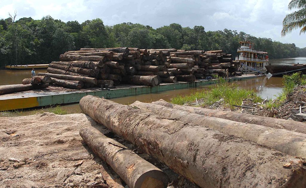Países suspenderam os repasses ao Fundo Amazônia, principal projeto de combate ao desmatamento (Foto: Wilson Dias/Agência Brasil)