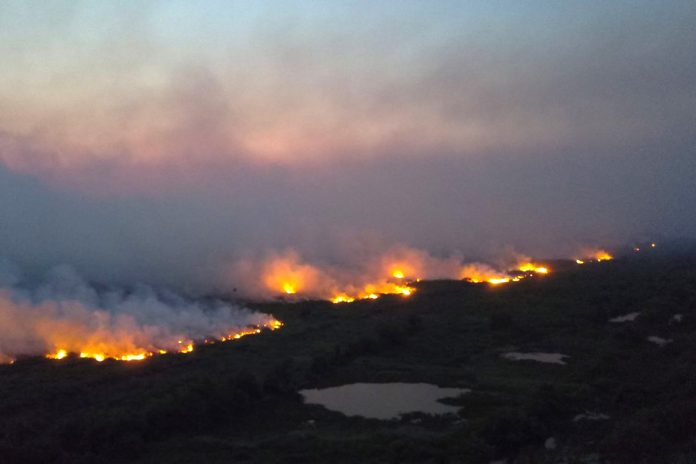 Ibama suspeita que incêndios foram provocados por ação humana (Foto: Chico Ribeiro/Governo do Mato Grosso)