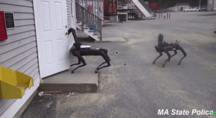Cão Robô