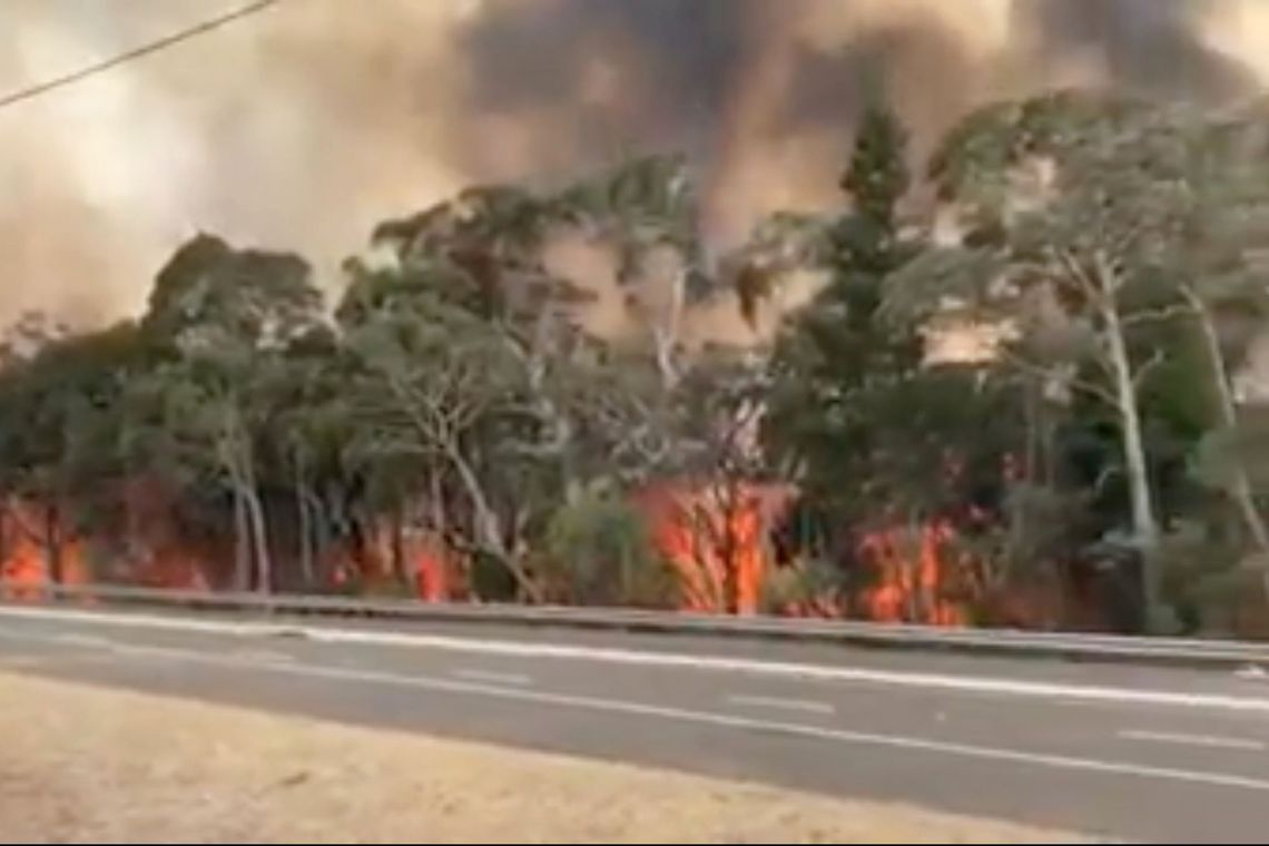 A imigrante foi resgatada das chamas pela Patrulha da Fronteira (foto: NSW Rural Fire Service)