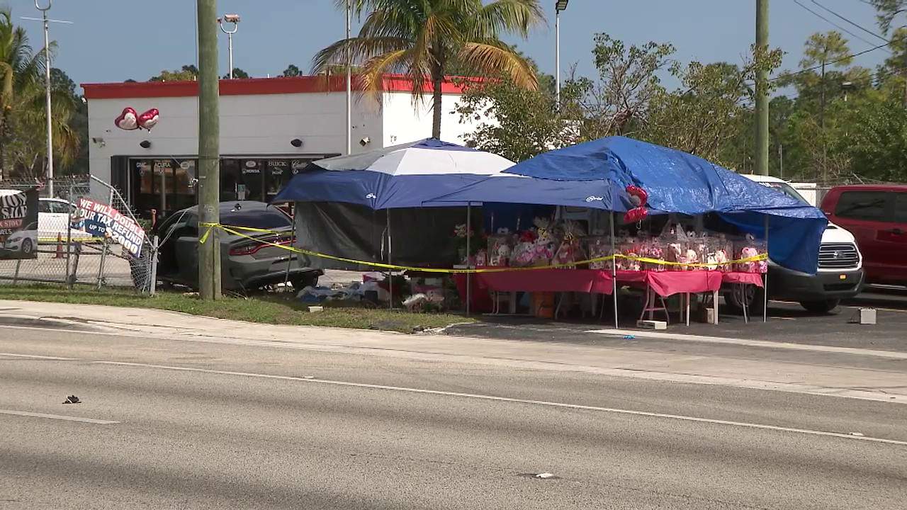 Criança de três anos morreu atropelada (Foto: Reprodução WPLG)