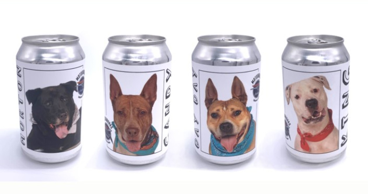 Imagem de latas de cerveja com cachorros disponíveis para adoção (Foto: Reprodução Motorworks)