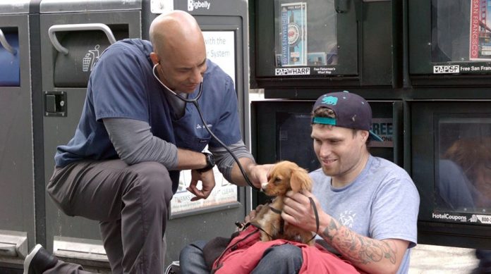 Veterinário percorre as ruas e trata animais gratuitamente na CA (Foto Facebook The Street VET)