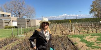 Marta Ramos na vinícola de Mendoza
