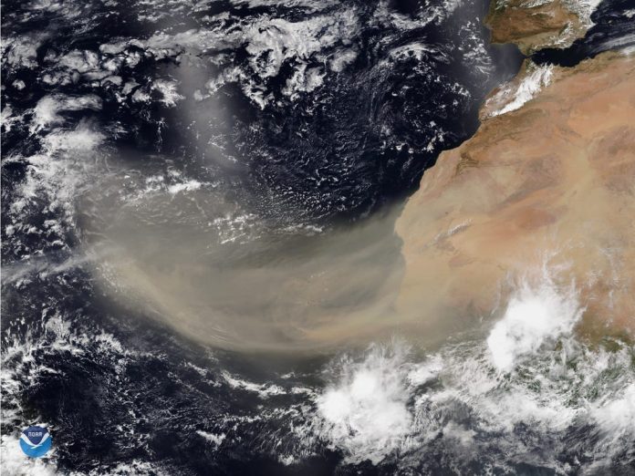 Imagem de satélite da poeira do Sahara (Foto: NOAA)