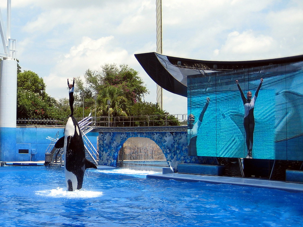 SeaWorld (Foto: Robert Linsdell/Flickr)