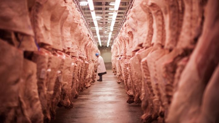 O Brasil exportou mais de 172 toneladas de carne bovina em junho (Foto: Divulgação/JBS)