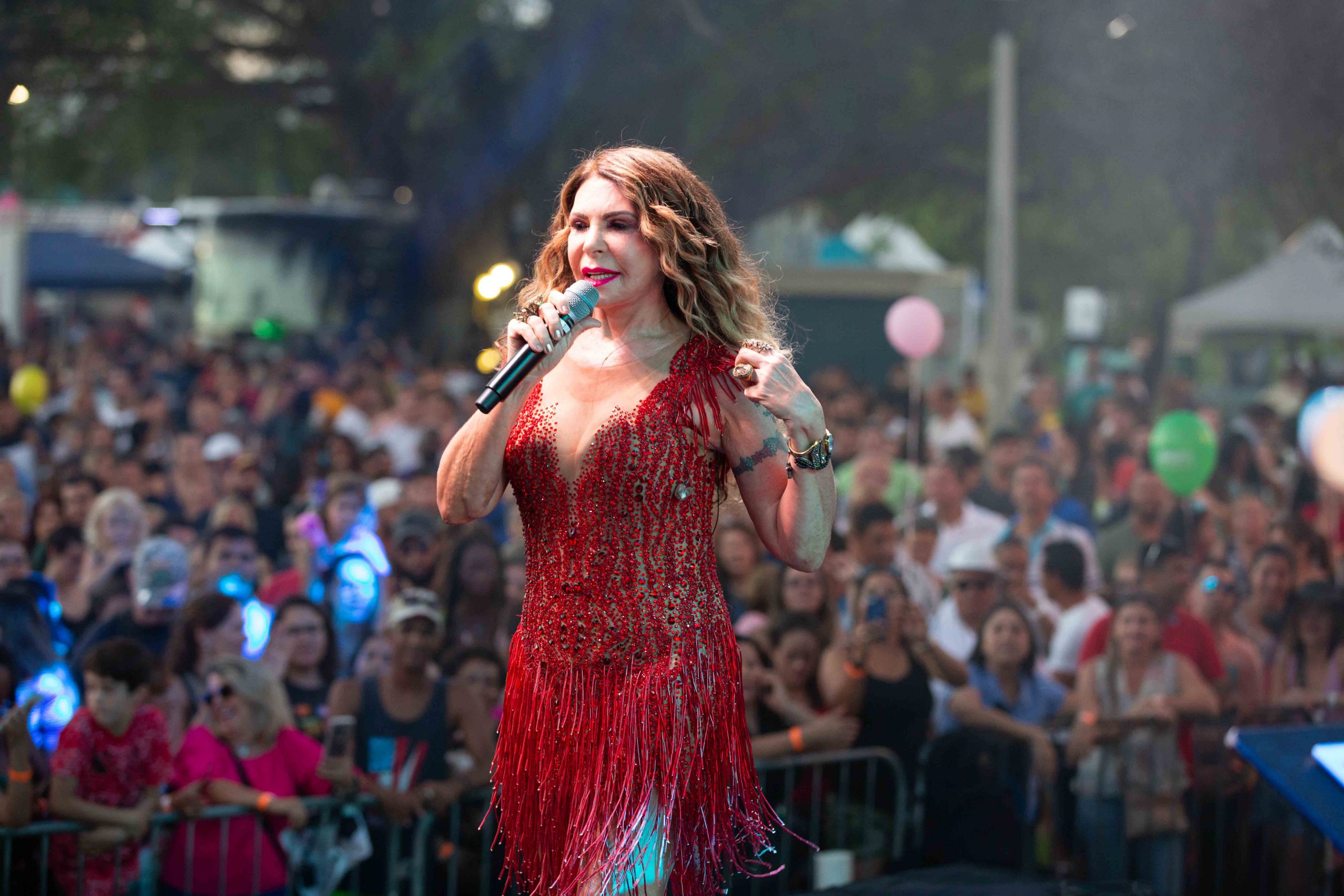 Elba Ramalho (foto), Geraldo Azevedo e Alceu Valença farão live neste domingo (Foto: Demetrius Borges)