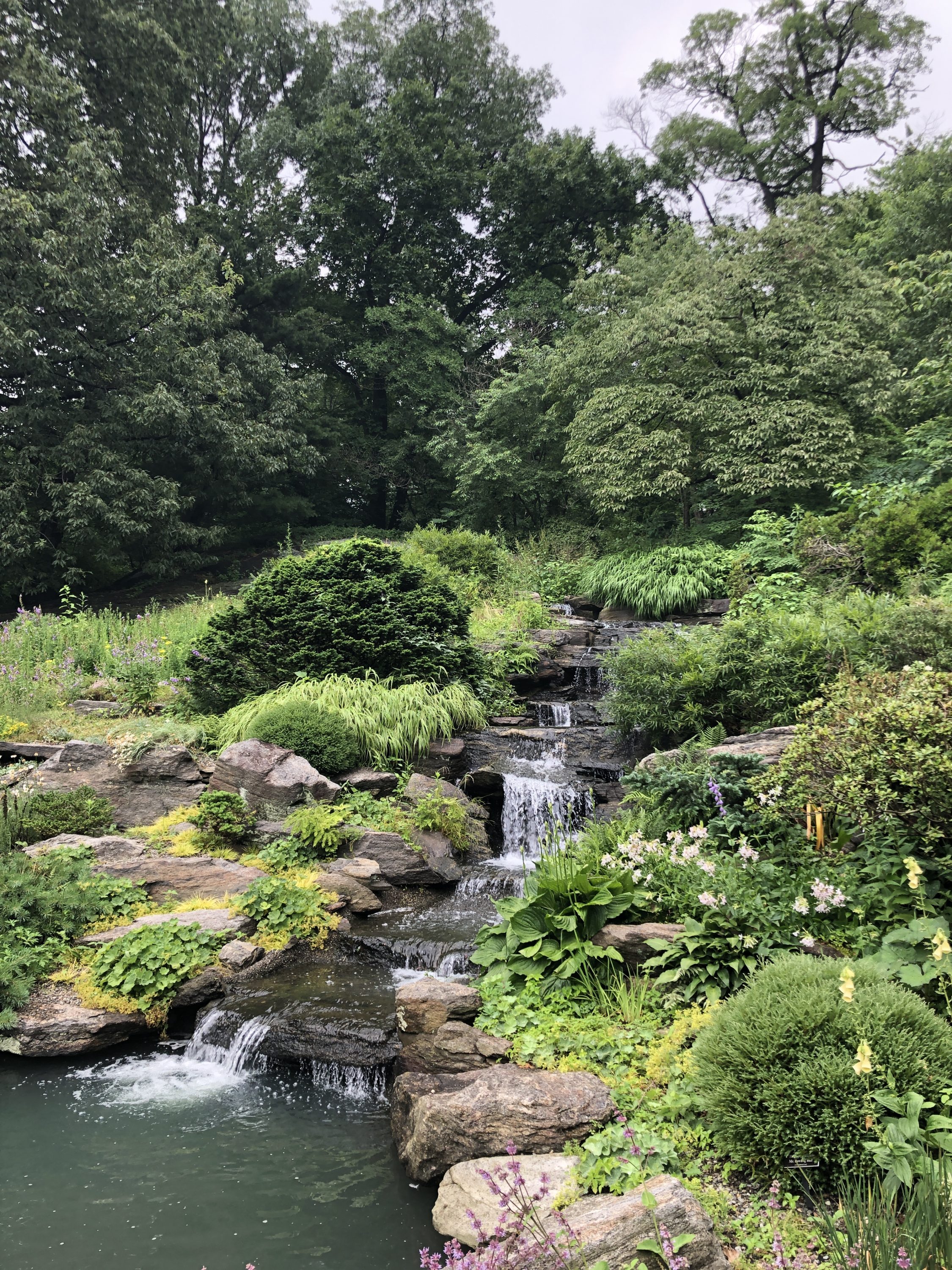 Jardim Botânico de New York, que reabrirá no dia 28 de julho (Foto: Sandra Colicino)