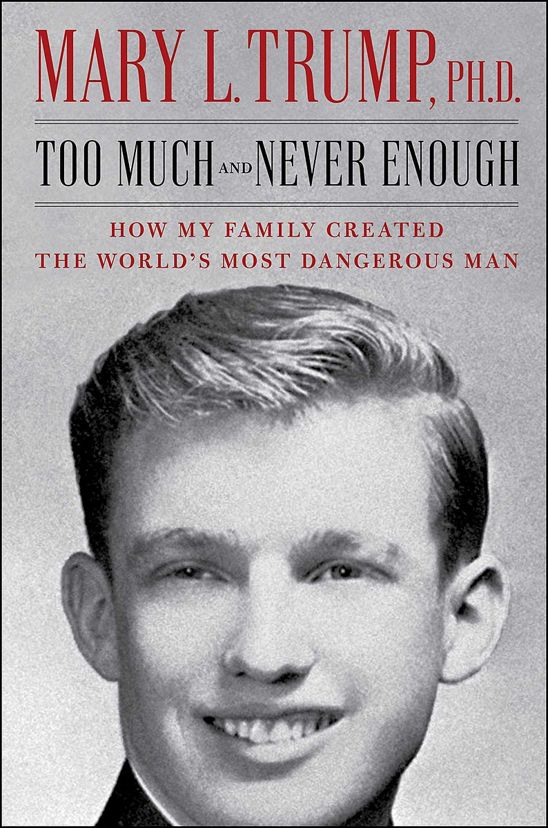 Capa do livro "Too Much and Never Enough" (Foto: wikimedia)