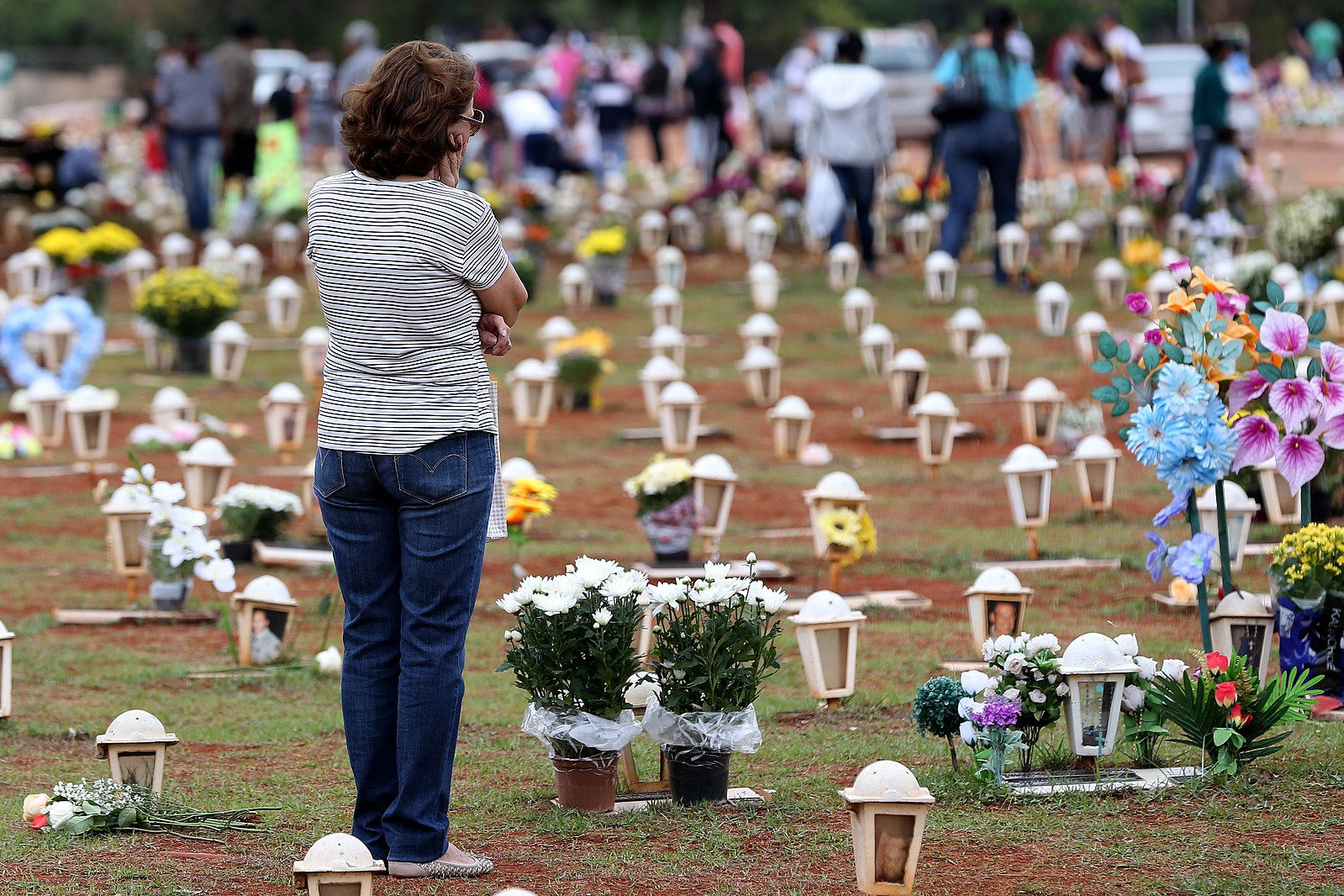 Brasília - Cemitério Campo da Esperança (Wilson Dias/ Wikimedia Commonns)