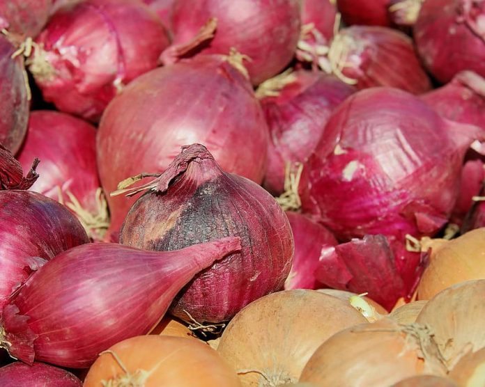 O recall inclui os tipos de cebola branca, roxa e amarela; além da variedade sweet onion (foto:pikist)