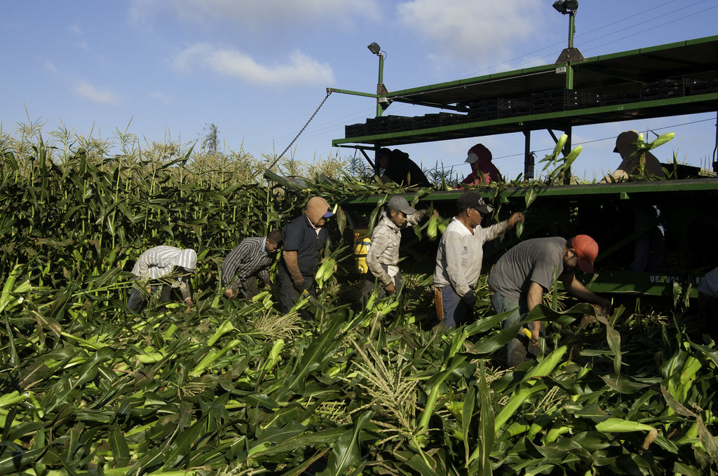 A ideia é repassar entre $500 e mil dólares para as famílias dos indocumentados (foto: flickr)