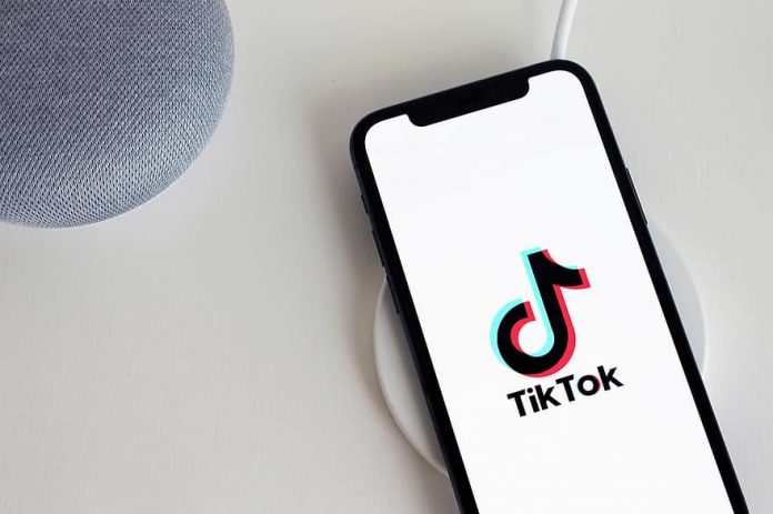 Centenas de milhares de pessoas acessam o TikTok em todo o mundo (foto:pikist)