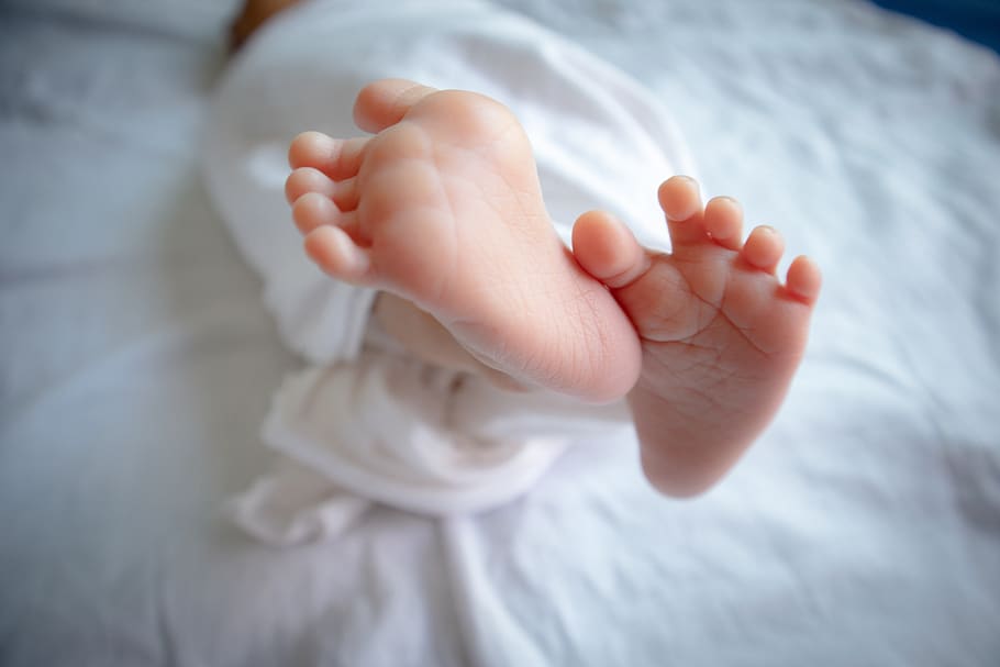 O direito à cidadania americana a bebês nascidos nos Estados Unidos é garantido pela Constituição (foto: pixabay)