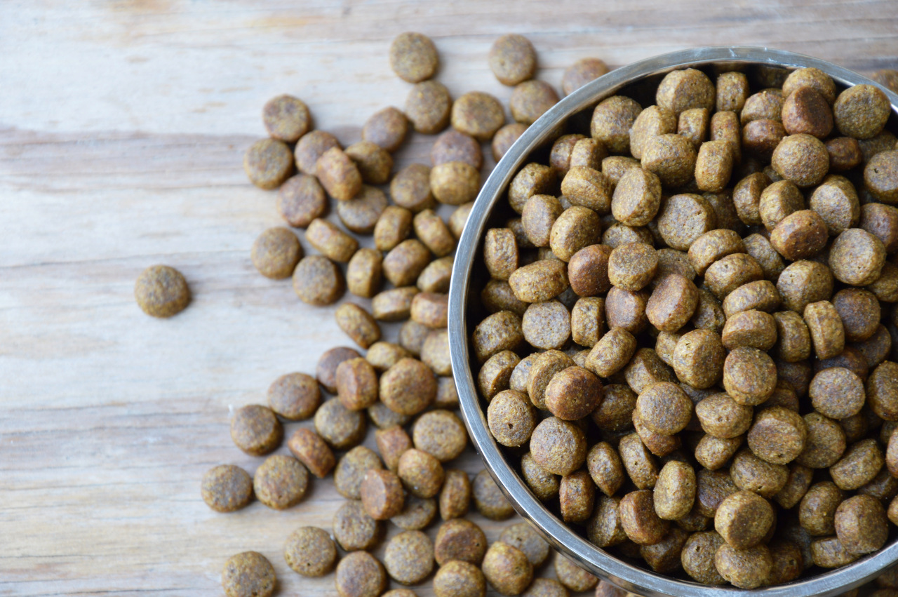 Cinco produtos da Midwestern Pet Food devem ser evitados (foto: pixabay)